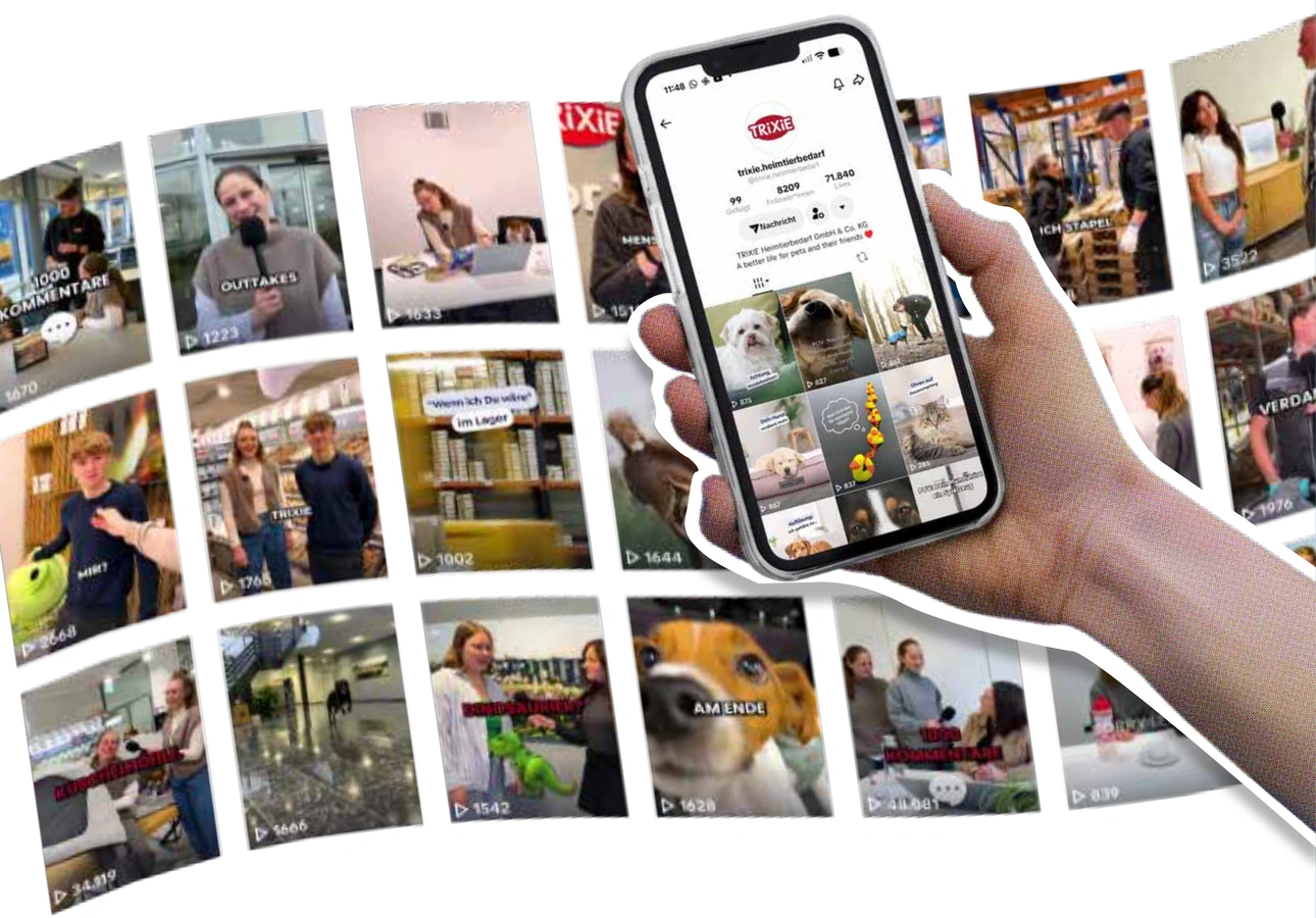 Originaler TikTok-Projektüberblick für TRIXIE mit Kurzvideo-Motiven